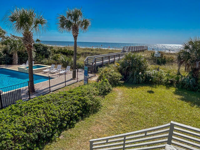 The Shell Too | Photo 20