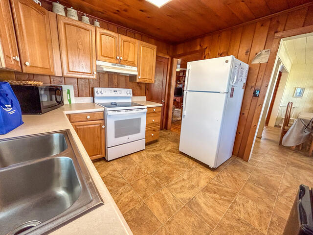 The Shell Too | Photo 13