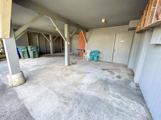 The Shell Too | Photo 32