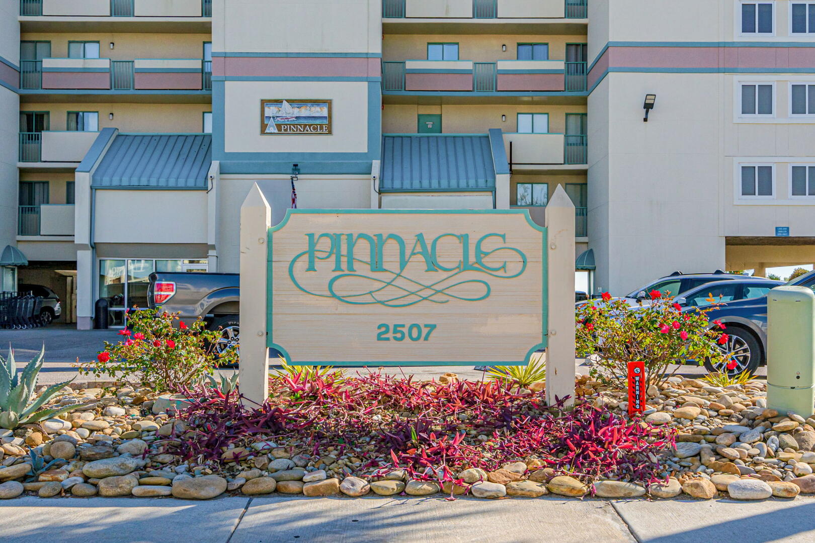 Pinnacle 206 50