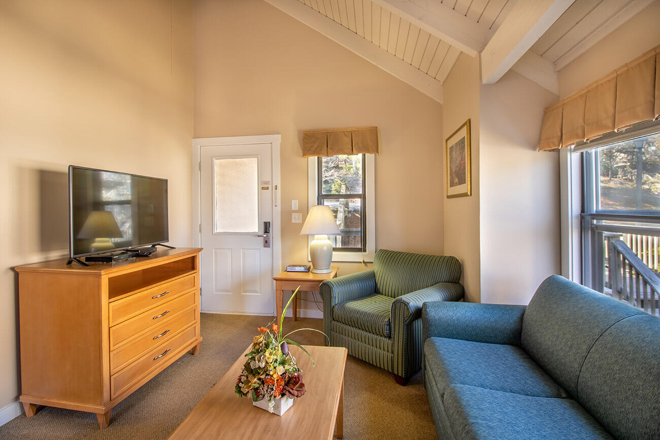 Shenandoah Villas One Bedroom Condo 11