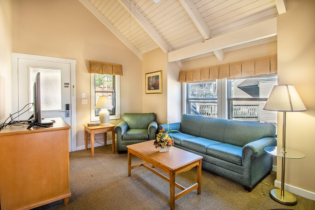 Shenandoah Villas One Bedroom Condo 12