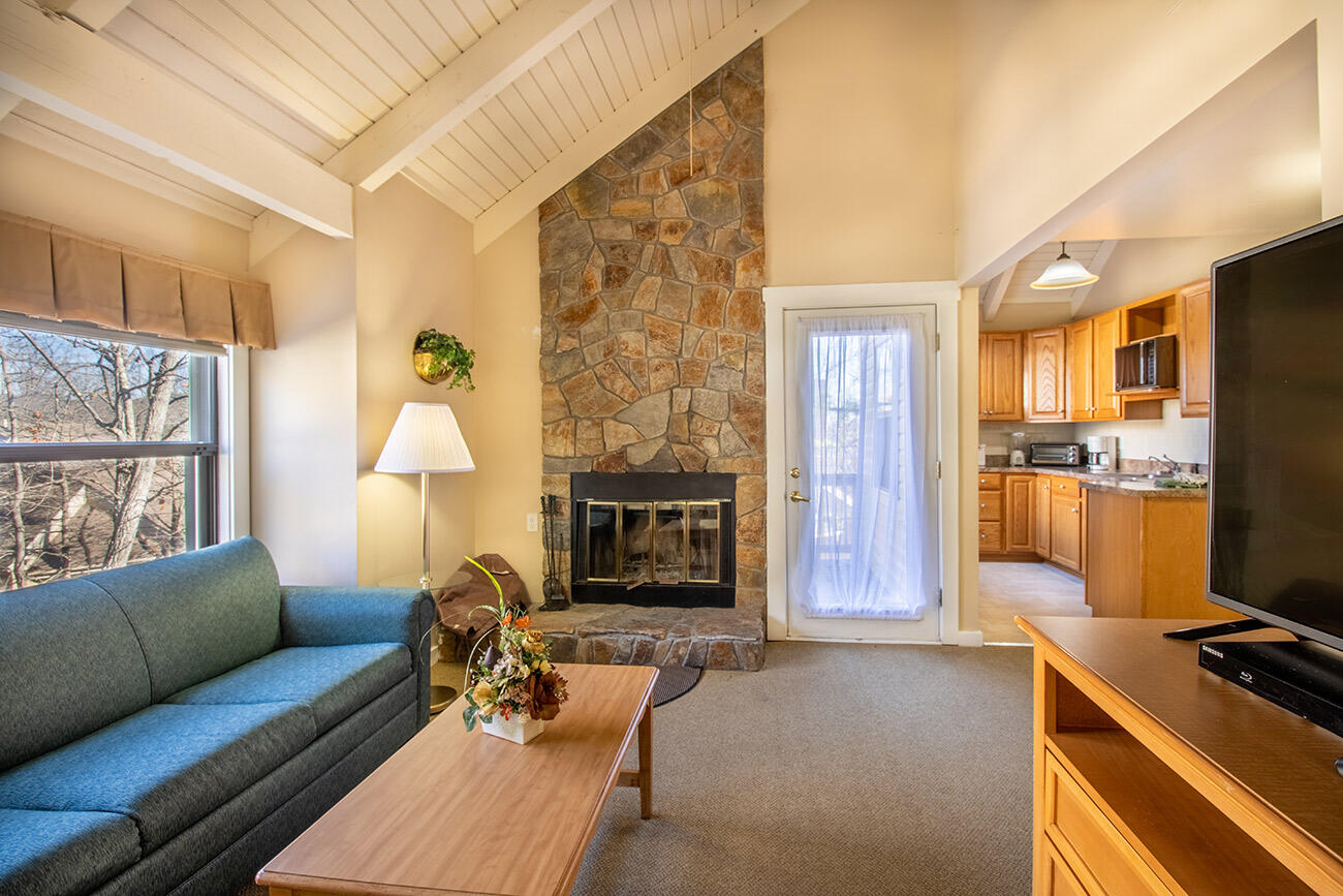 Shenandoah Villas One Bedroom Condo 13