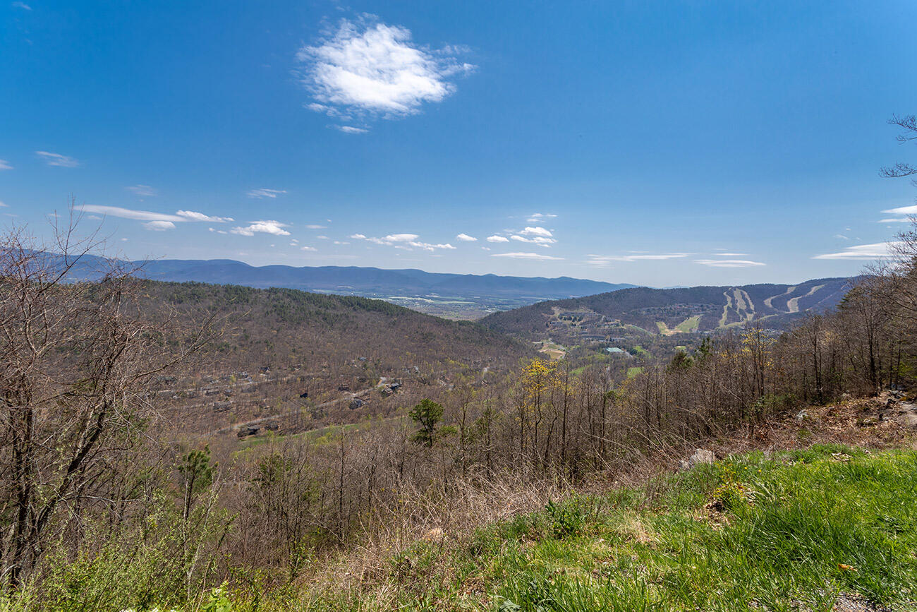 Shenandoah Villas One Bedroom Condo 24