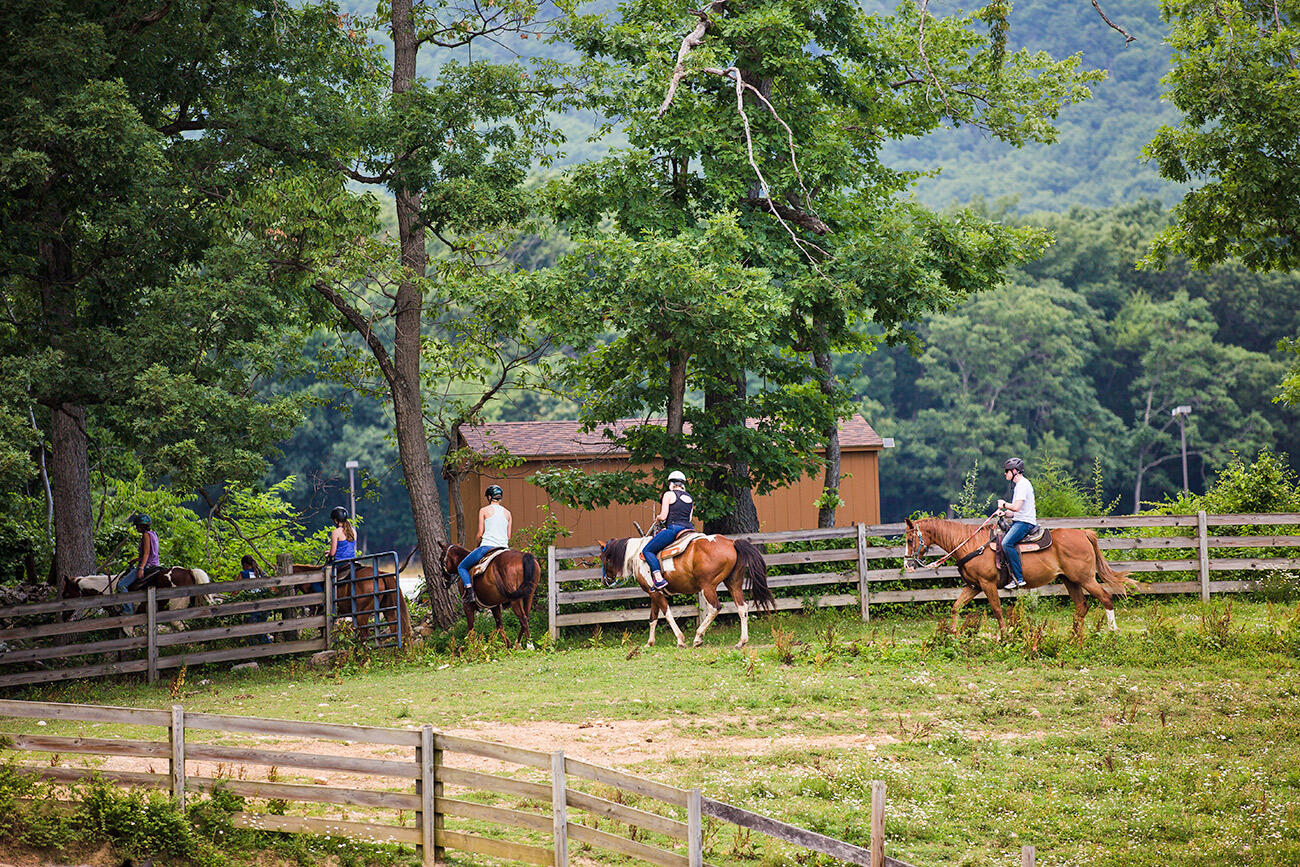 Shenandoah Villas One Bedroom Condo 28