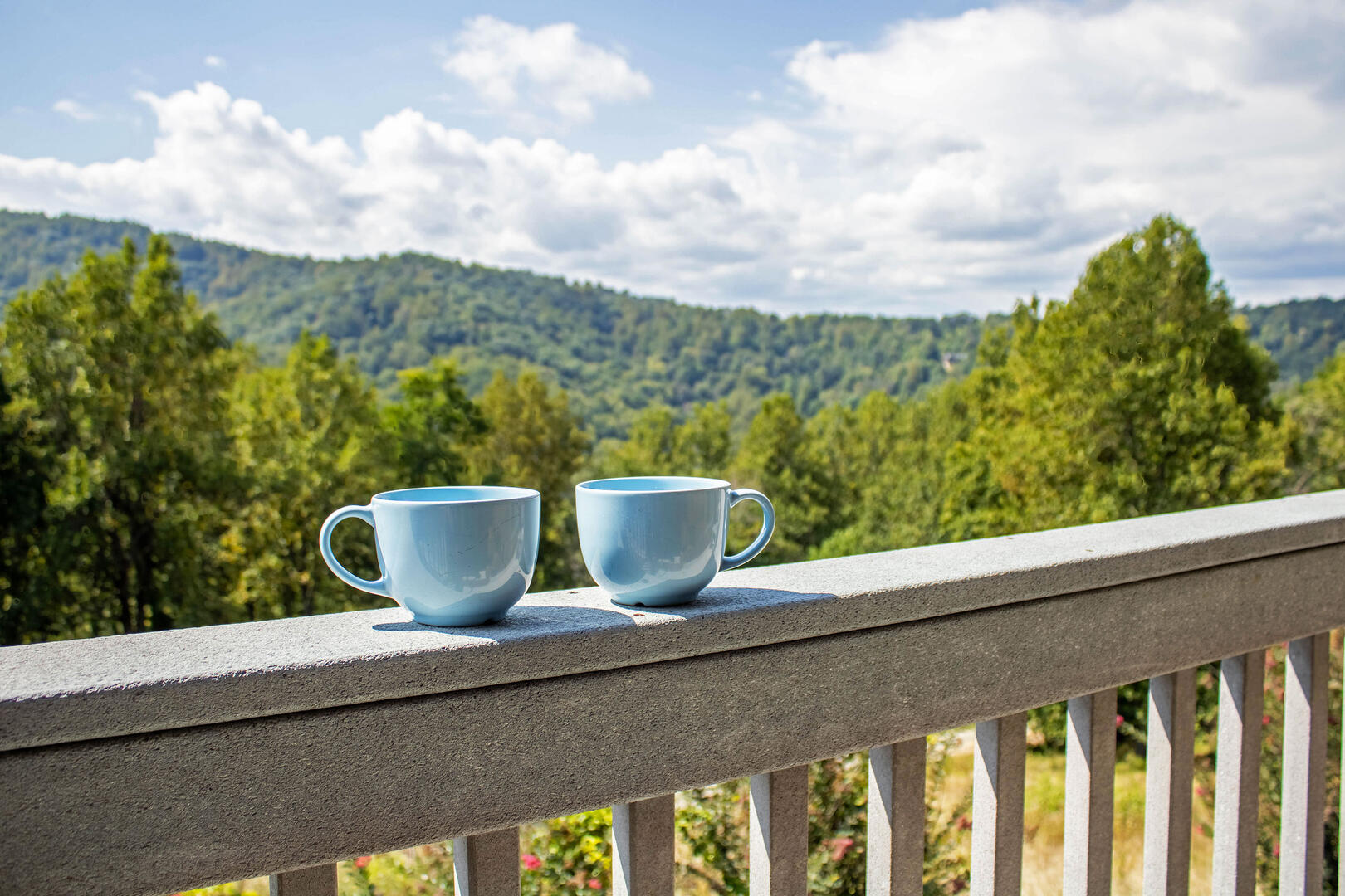 Hensley Hollow Lodge of Elkton 86