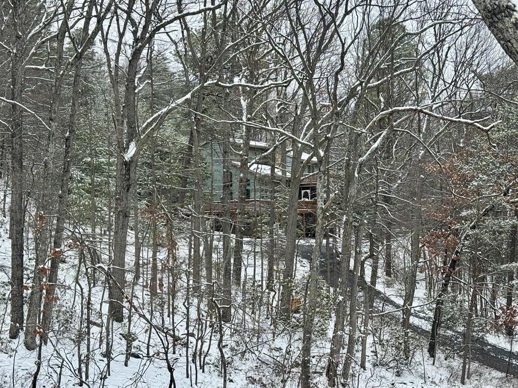 Dugan's Dugout at Massanutten 91