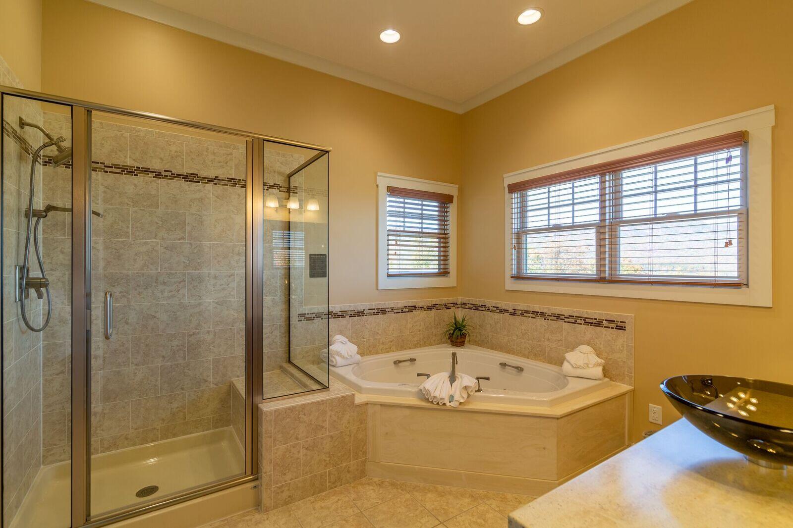 Regal Vistas Luxury Two Bedroom Townhome 9