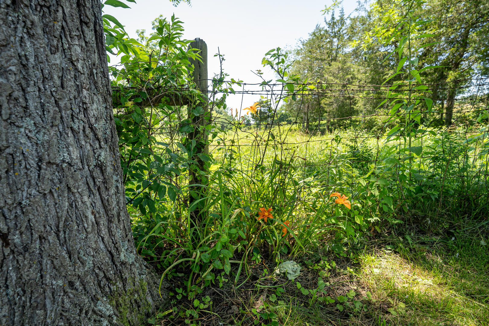 Hikers Zen at Keezletown 30