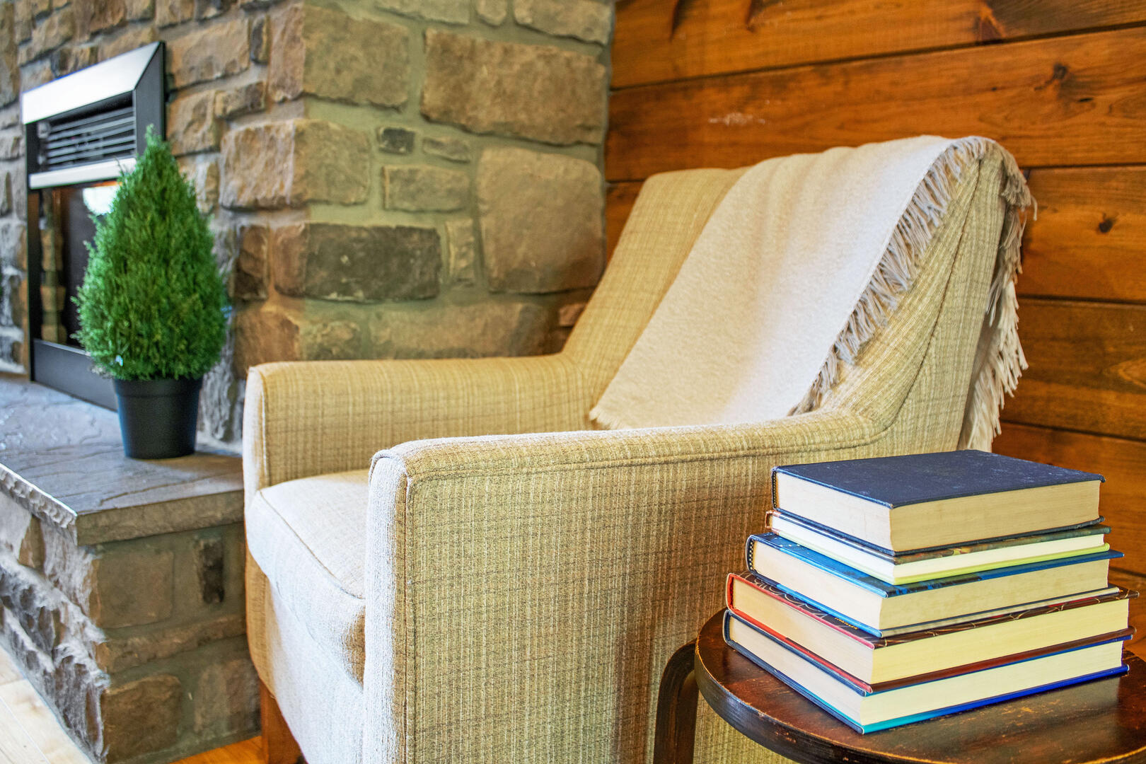 Page Valley Retreat - Cabin #4 6