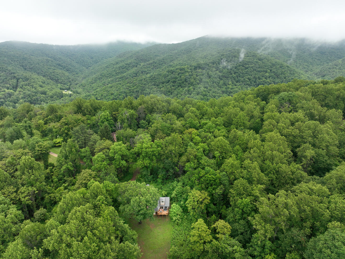 Birds Treetop Overlook 31