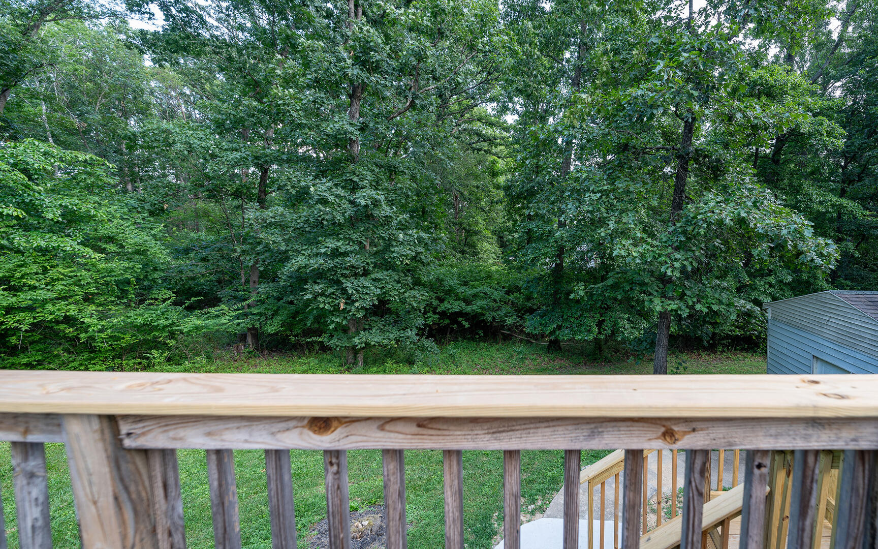 Shenandoah River Escape 39