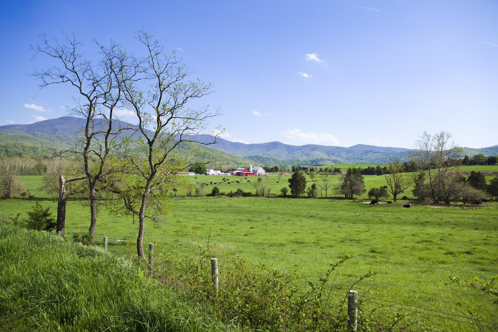 Shenandoah River Escape 58