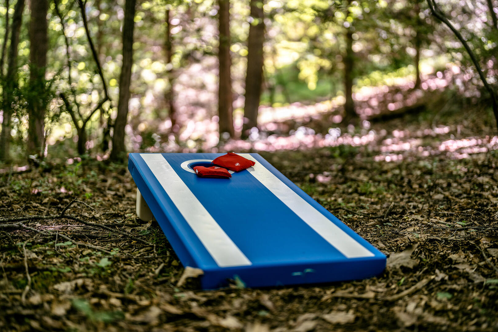 Red Cedar Retreat 43