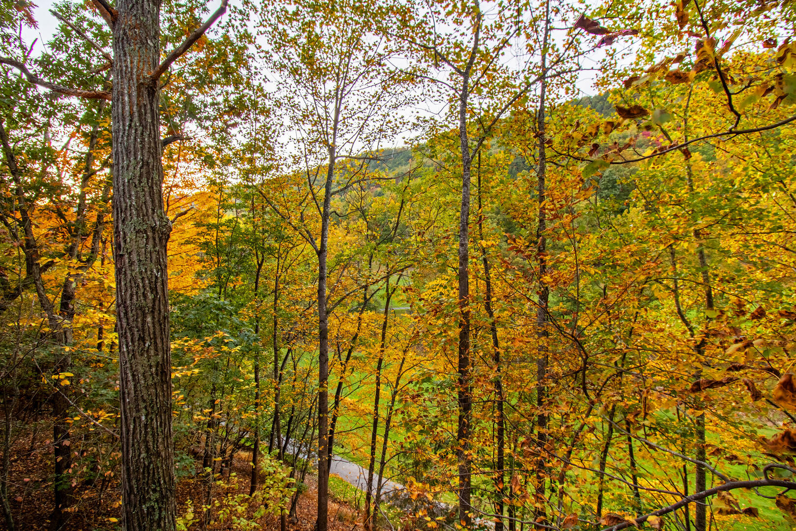 Mountain Memories 71