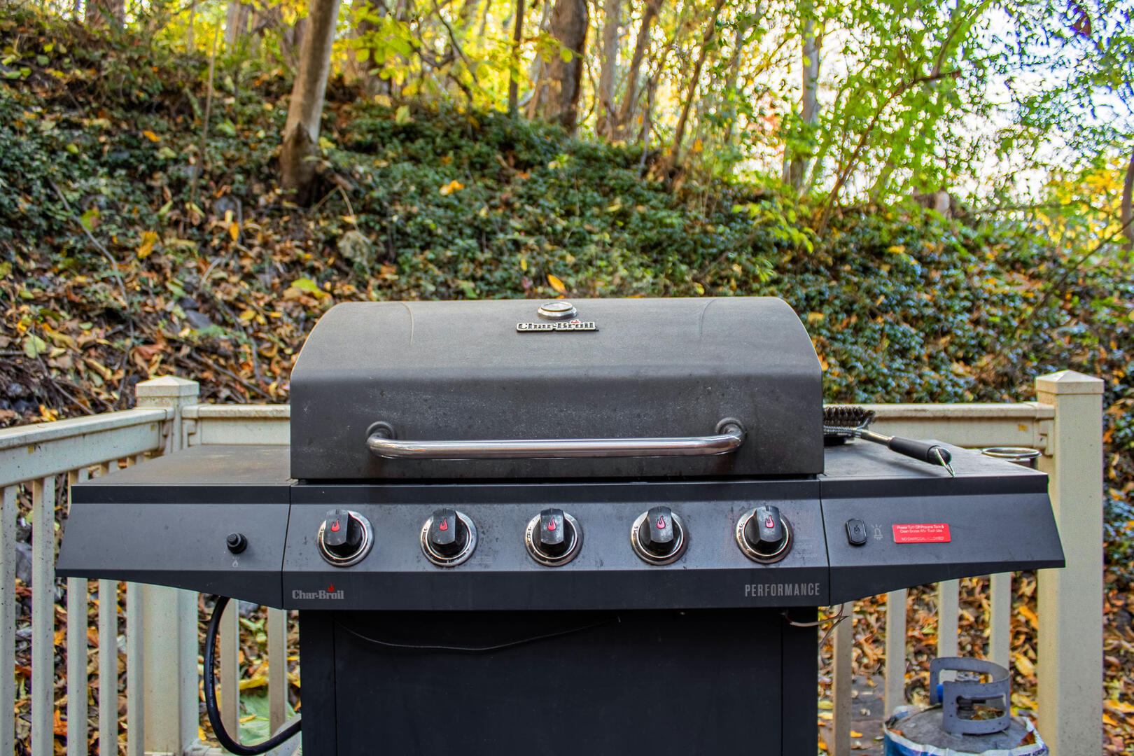 Magnolia Lodge at Massanutten 69