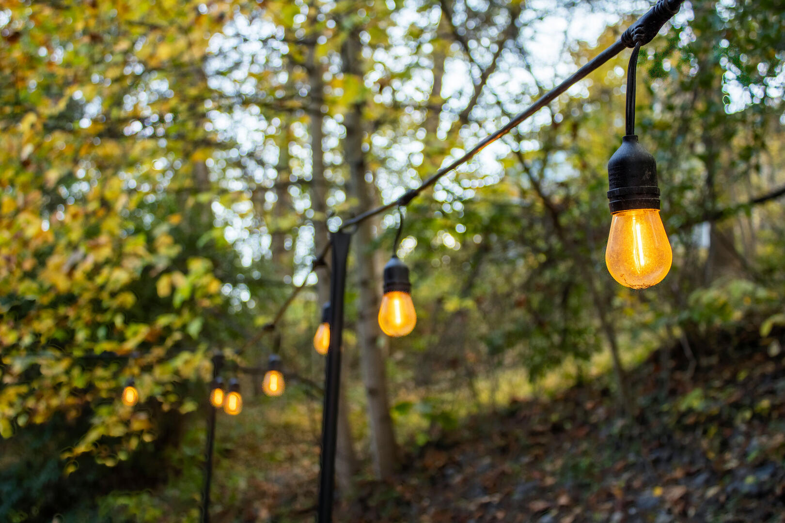 Magnolia Lodge at Massanutten 70