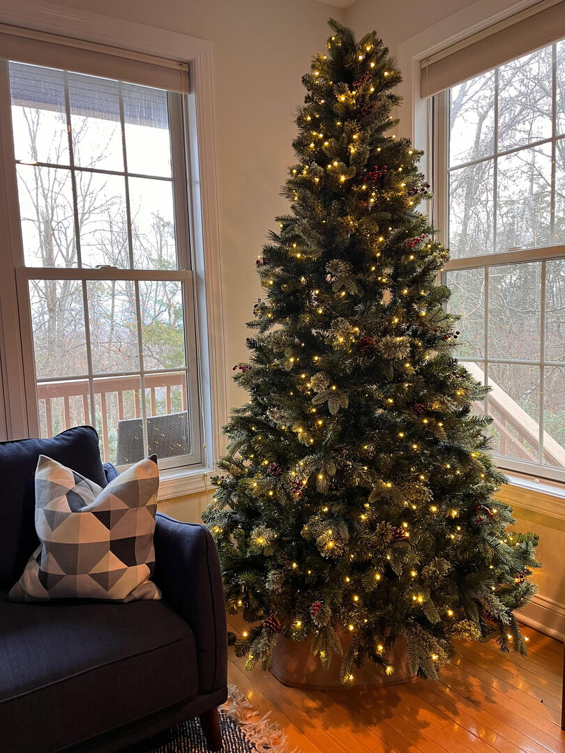 Magnolia Lodge at Massanutten 87