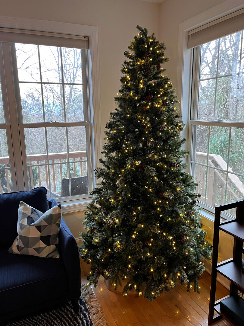 Magnolia Lodge at Massanutten 88